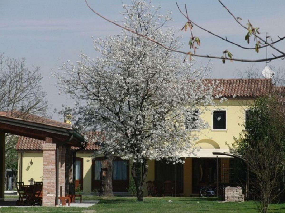 Apartmán Particolari Del Brenta Oriago Di Mira Exteriér fotografie